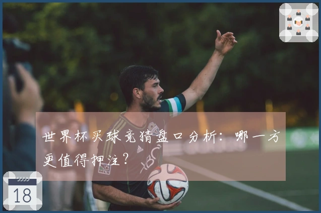 世界杯买球竞猜盘口分析：哪一方更值得押注？