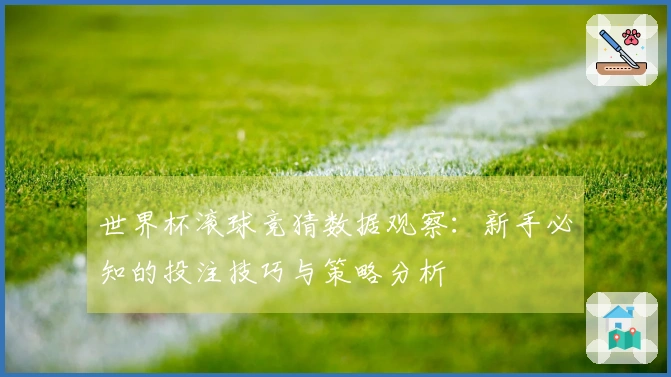 世界杯滚球竞猜数据观察：新手必知的投注技巧与策略分析