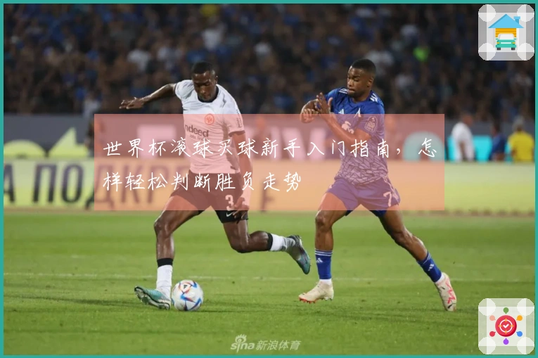 世界杯滚球买球新手入门指南，怎样轻松判断胜负走势
