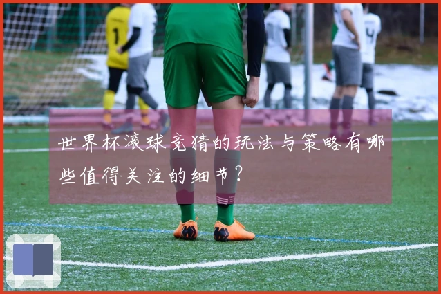 世界杯滚球竞猜的玩法与策略有哪些值得关注的细节？