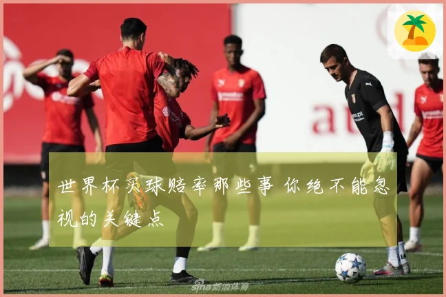 世界杯买球赔率那些事 你绝不能忽视的关键点