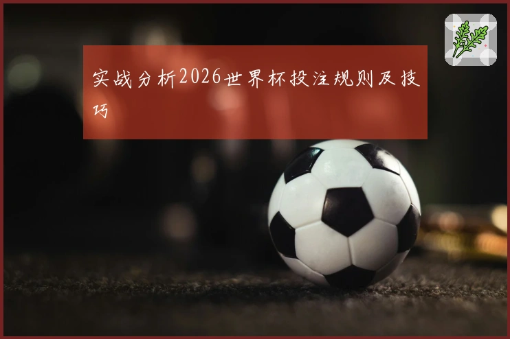 实战分析2026世界杯投注规则及技巧