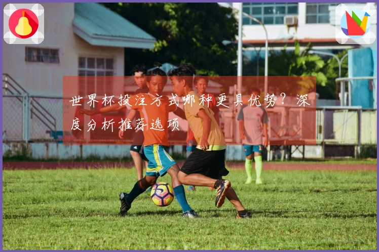 世界杯投注方式哪种更具优势？深度分析推荐选项