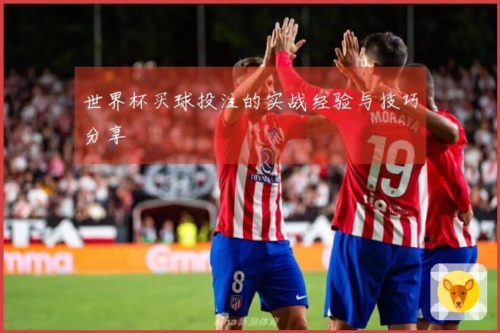 世界杯买球投注的实战经验与技巧分享
