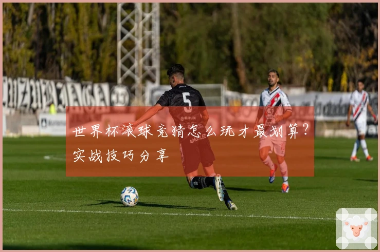 世界杯滚球竞猜怎么玩才最划算？实战技巧分享