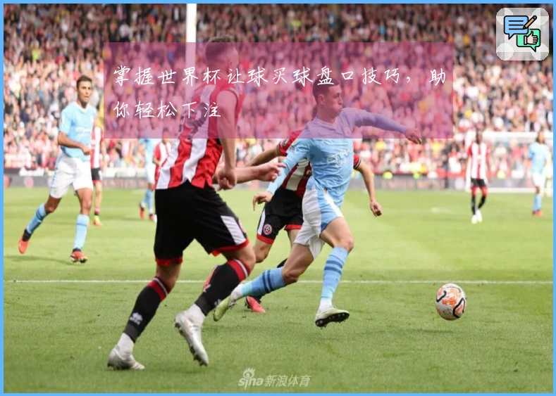 掌握世界杯让球买球盘口技巧，助你轻松下注