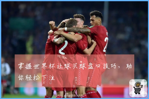 掌握世界杯让球买球盘口技巧，助你轻松下注