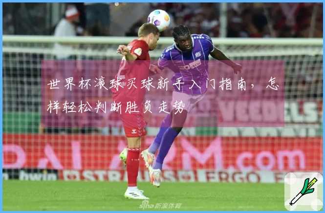 世界杯滚球买球新手入门指南，怎样轻松判断胜负走势