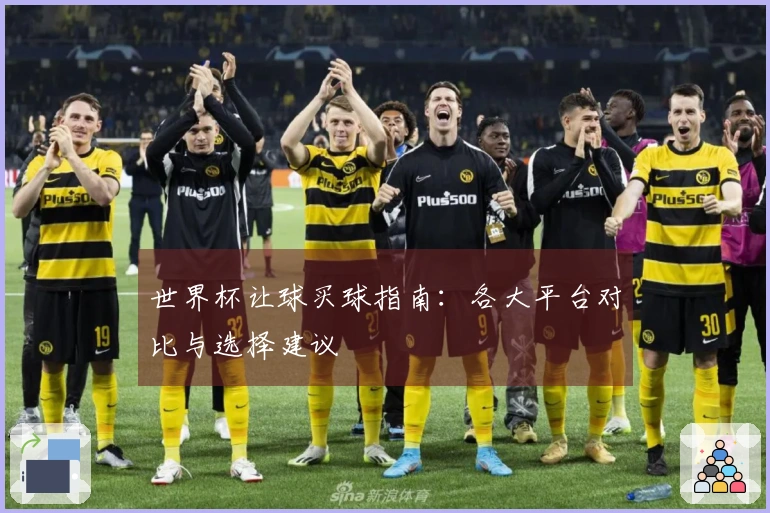 世界杯让球买球指南：各大平台对比与选择建议